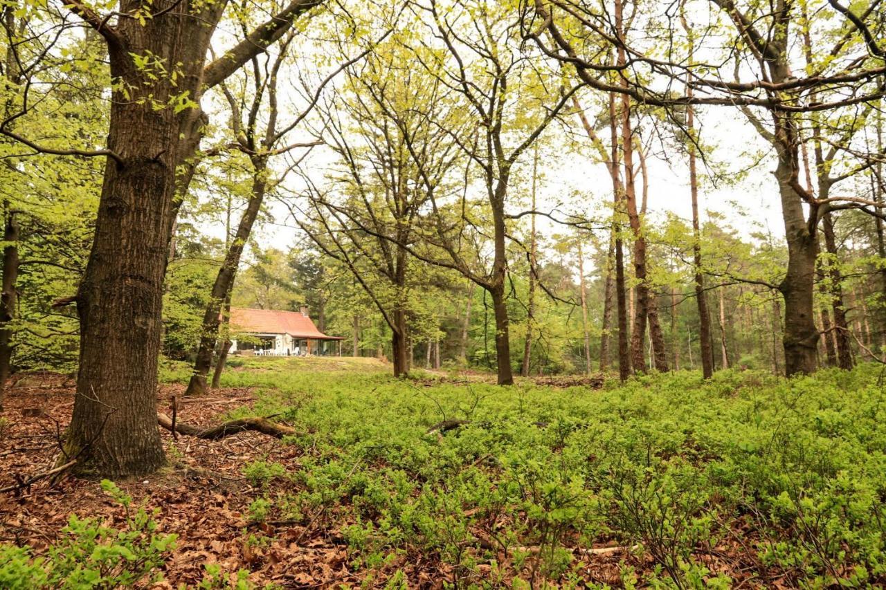 Vakantiehuis De Weeser Enk Epe Exteriör bild